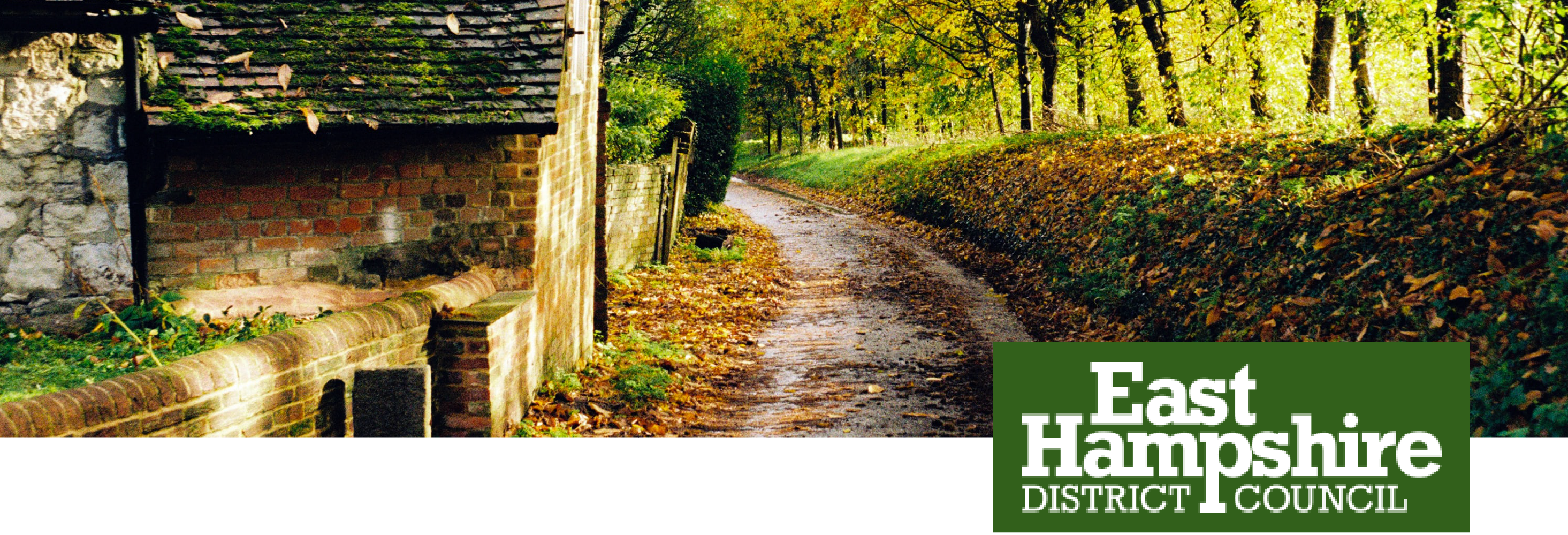 Illustration accompanying blog post. Country road in front of an old stone house on the left. Light yellowy green trees surrounding. East Hampshire District council Logo.