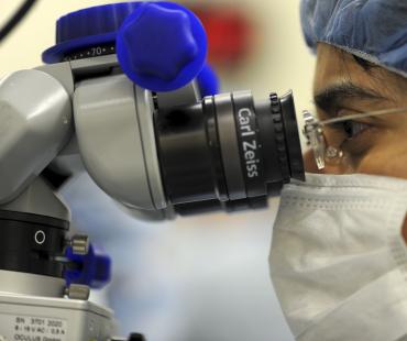human tissue authority